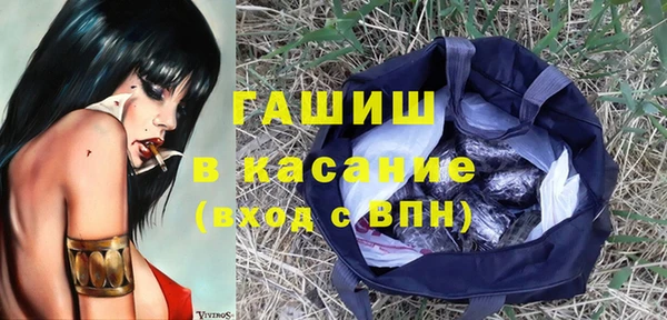 ГАЛЛЮЦИНОГЕННЫЕ ГРИБЫ Богданович