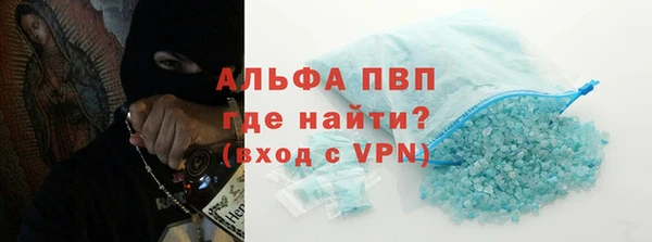 ГАЛЛЮЦИНОГЕННЫЕ ГРИБЫ Богданович