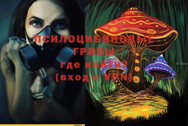 бошки Богородицк