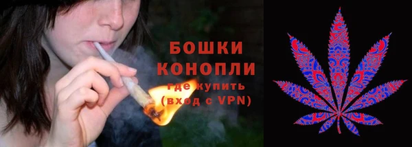 бошки Богородицк