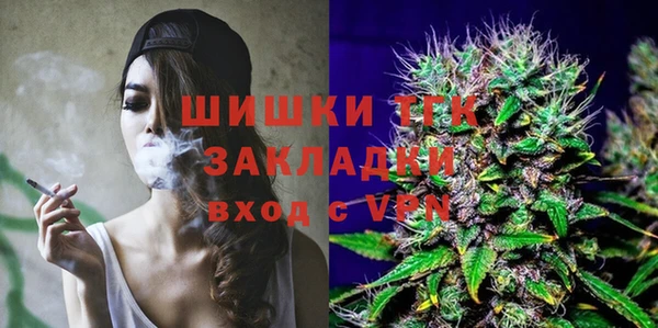 ГАЛЛЮЦИНОГЕННЫЕ ГРИБЫ Богданович