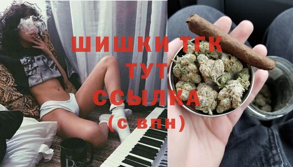 ГАЛЛЮЦИНОГЕННЫЕ ГРИБЫ Богданович