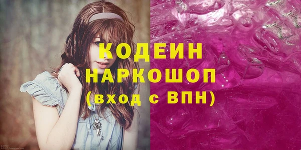 ГАЛЛЮЦИНОГЕННЫЕ ГРИБЫ Богданович