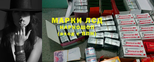ГАЛЛЮЦИНОГЕННЫЕ ГРИБЫ Богданович
