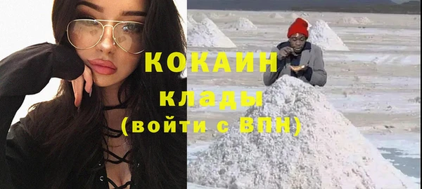 ГАЛЛЮЦИНОГЕННЫЕ ГРИБЫ Богданович
