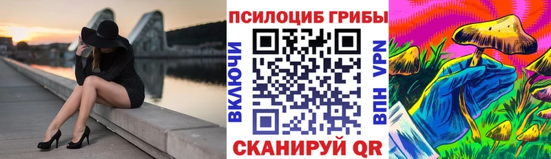 Купить  Топки  Галлюциногенные грибы ЛСД 