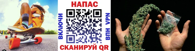 Купить где  Топки  Каннабис SATIVA & INDICA 